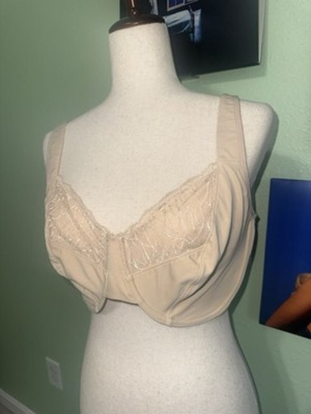 Vanity Fair Bra 76014 40DDD Beige Lace Trim Full Coverage Unlined Underwire